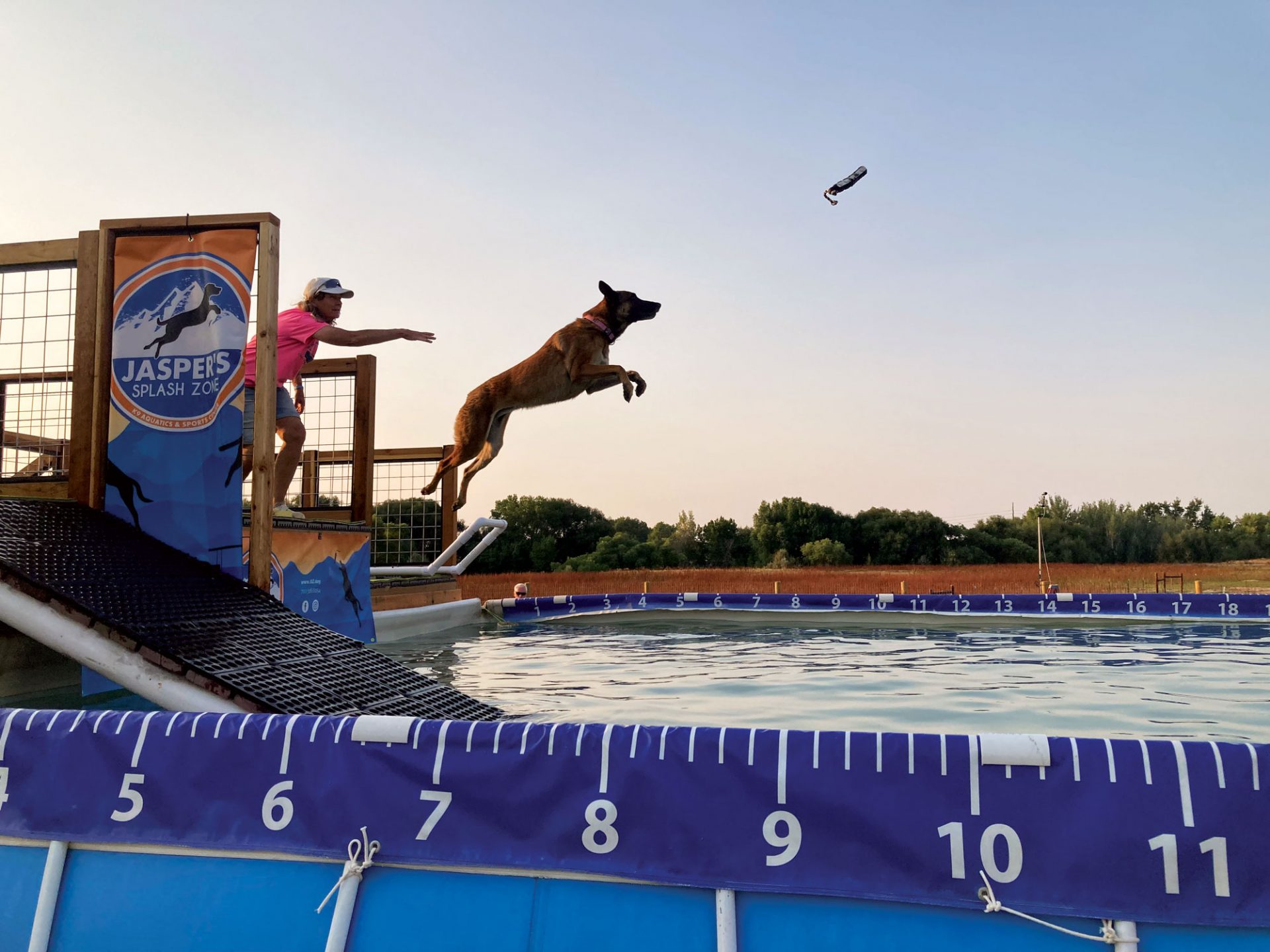 Dock Diving at Jasper’s Splash Zone