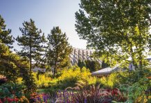 Denver Botanic Gardens flowers