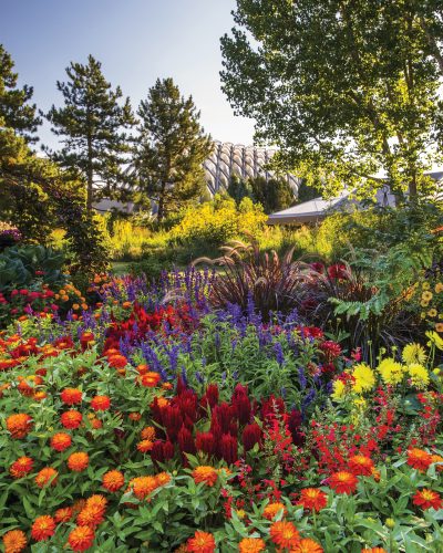 Denver Botanic Gardens flowers