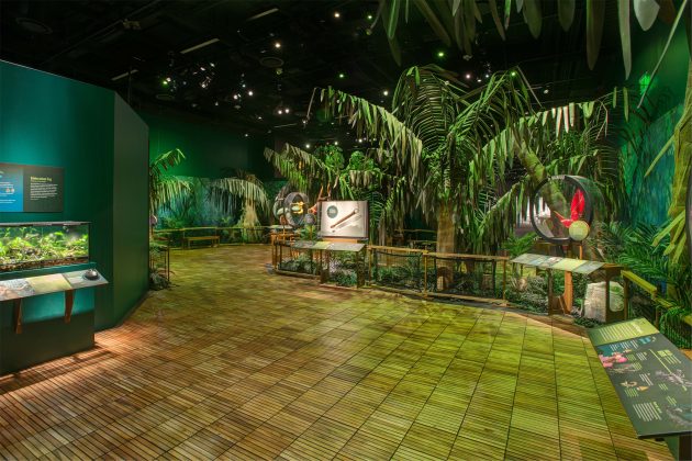 The Power of Poison exhibit