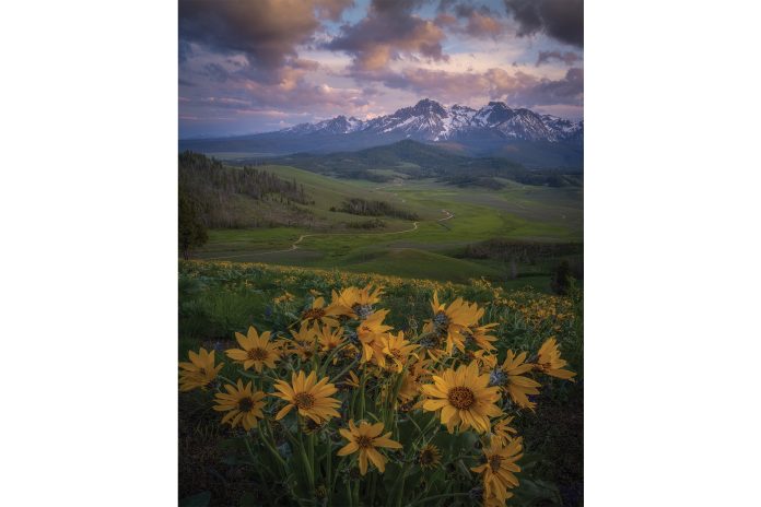 Dan Ballard photograph of Colorado mountains and wildflowers