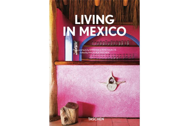 Living in Mexico