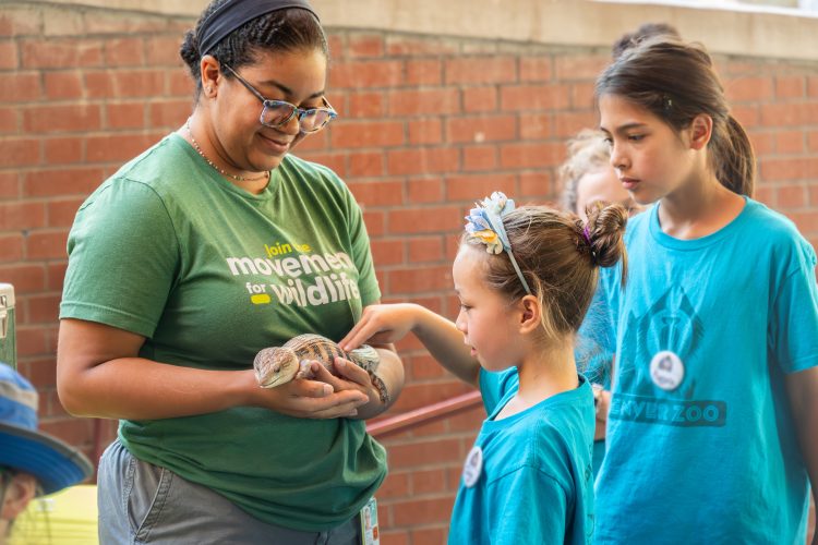 Children petting a reptile at Denver Zoo.