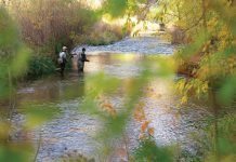 People fly fishing in a river.