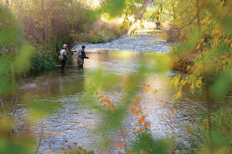 People fly fishing in a river.