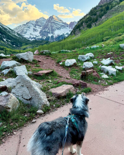 Dog hiking at the Maroon Bells.
