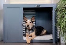 A dog sits in a crate from Boulderbarks.