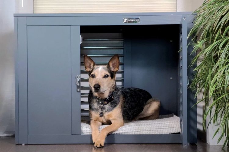 A dog sits in a crate from Boulderbarks.