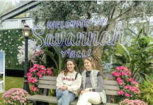 Surprisingly Savannah Mobile Tour in Denver