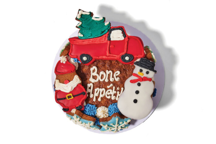 Holiday themed dog cake from Cosmos Dog Bakery.