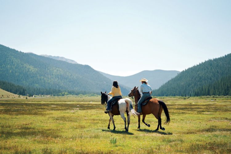 People ride horses through field.