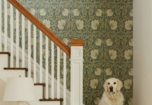 A golden retriever sits on the stairs of the Wash Park home.