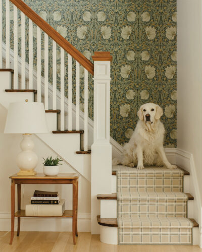 A golden retriever sits on the stairs of the Wash Park home.