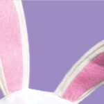Close-up of pink and white bunny ears against a pastel purple background.