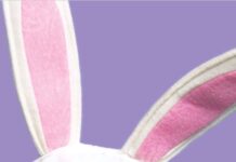 Close-up of pink and white bunny ears against a pastel purple background.