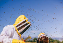 Colorado’s Next-Gen Growers Beekeepers tend hives at Björn’s Colorado Honey.
