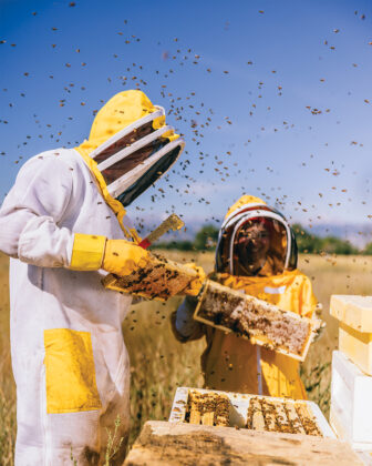 Beekeepers tend hives at Bj&ouml;rn&rsquo;s Colorado Honey.