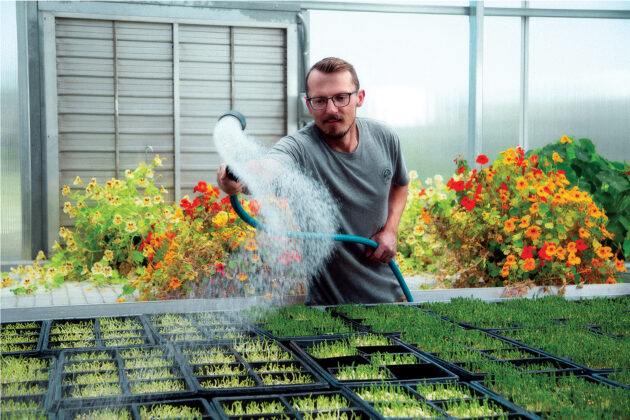 Gardener tends the microgreens at Mountain Man Micro Farms.