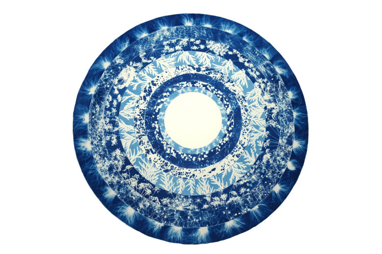 Blue Light cyanotype on cotton rag.