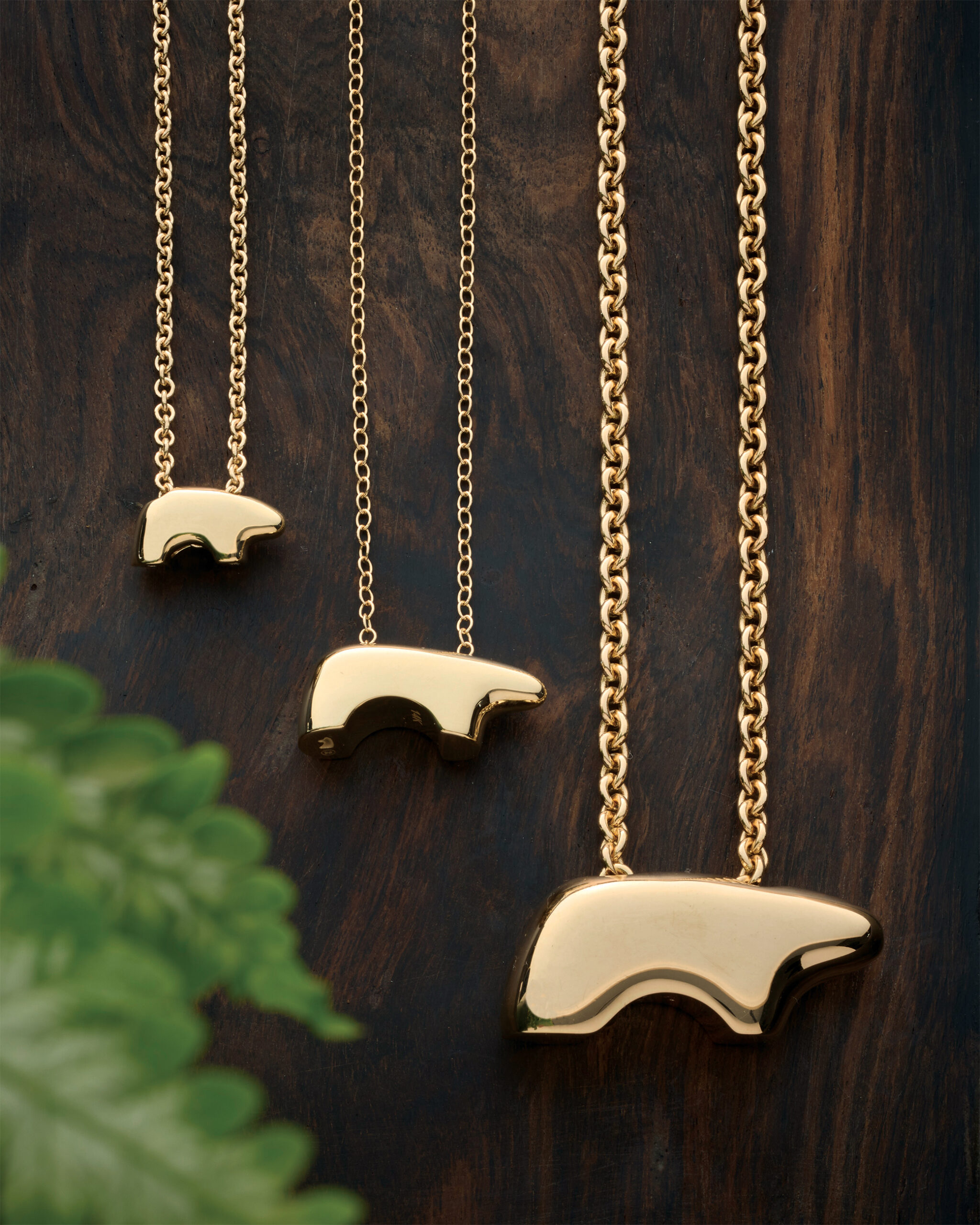 The Golden Bear Becomes a Symbol of the Vail Valley