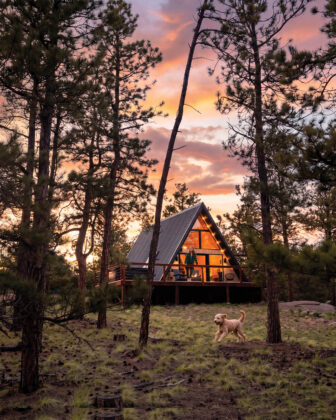 Dog runs in front of A-frame rental cabin.
