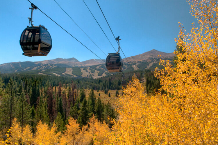 Gondola's in the summertime.