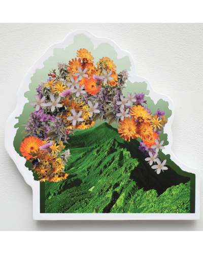 Libby Barbee, "Mount Columbia," 2017. Digital print on panel. Dimensions variable.