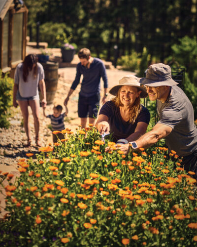 People pick garnishes from the garden in the 2026 Colorado Chefs feature.
