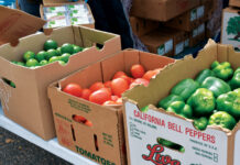 Boxes of produce at We Don't Waste.