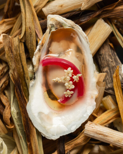 An oyster dish at chef Kelly Whitaker's SHEEP.