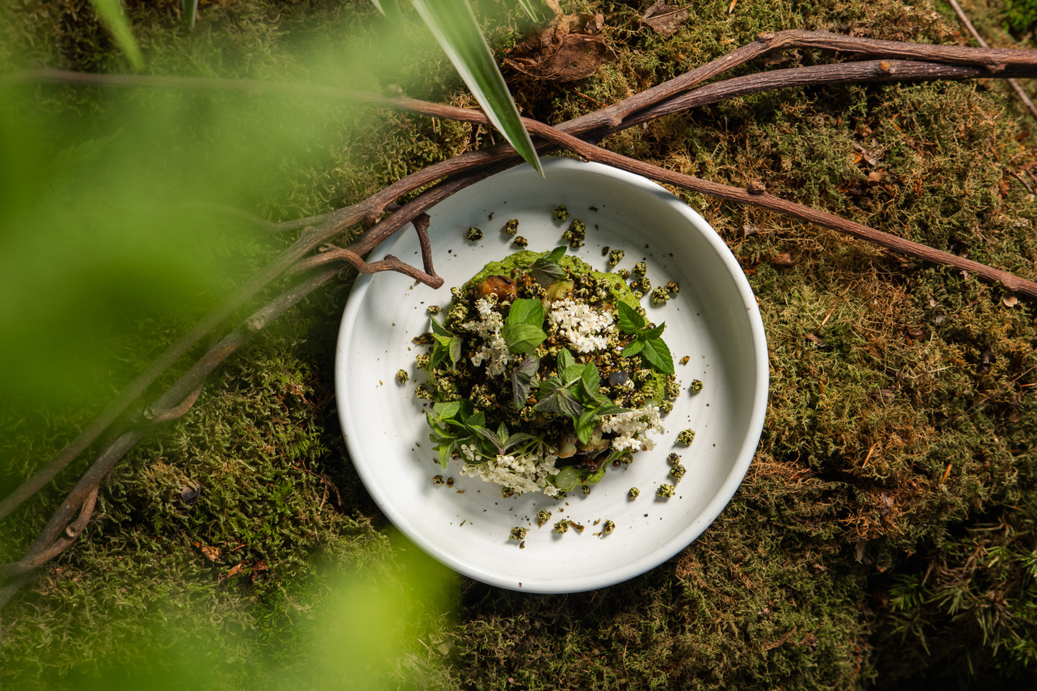 A dish from SHEEP is displayed among moss and greenary.