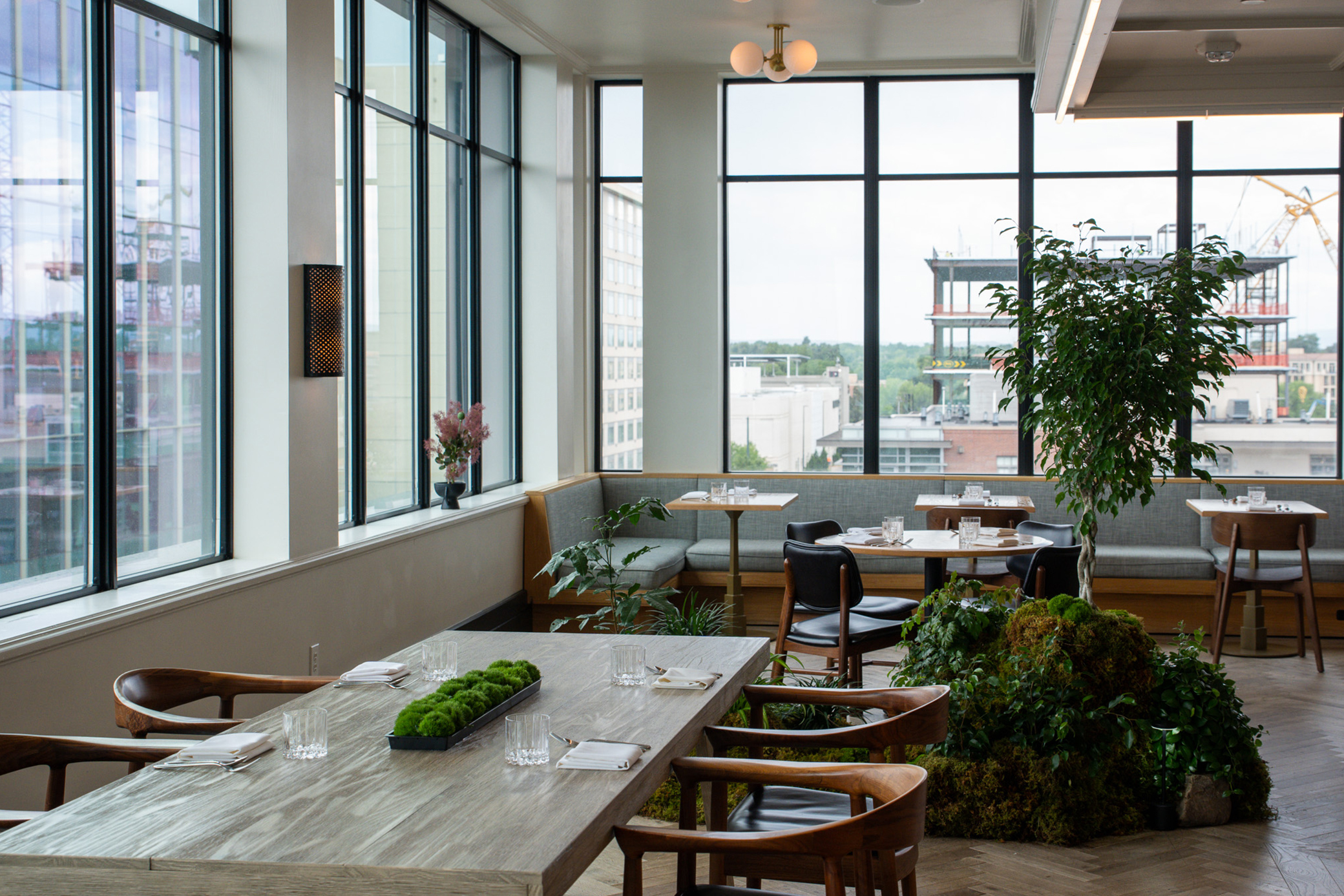 Interior with greenery at chef Kelly Whitaker's SHEEP.