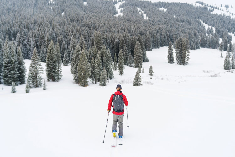 Backcountry skier crossing a wide snow-covered landscape surrounded by evergreen forests and mountain slopes.