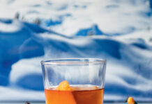 Allyson Reedy Captures Après Ski in a Glass Cover of Alpine Cocktails, edited by Allyson Reedy, featuring a cocktail surrounded by miniature skiers in a snowy mountain scene.