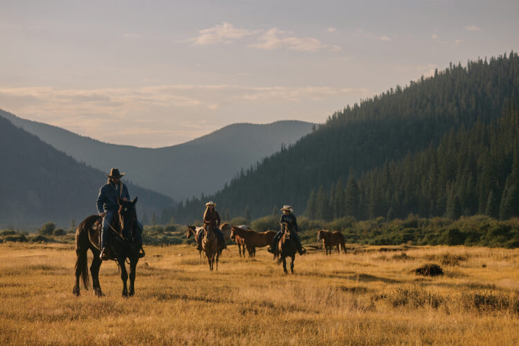 Three horseback riders guide a small herd of horses through a golden mountain meadow surrounded by forested peaks.