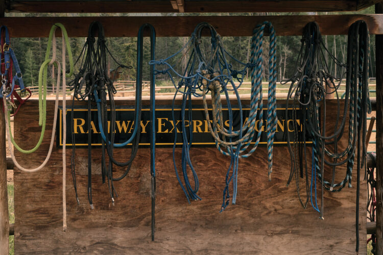 Colorful ropes, bridles, and other horse tack hang from a wooden wall at a mountain ranch.