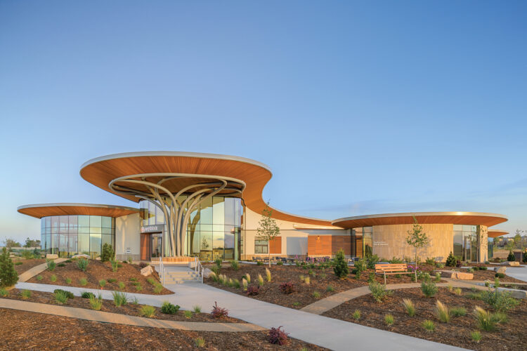 Anythink Nature Library in Thornton with sweeping curved roofs and branching entrance columns.